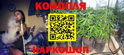 каннабис Новодвинск