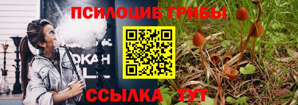 Пыть-Ях  Галлюциногенные грибы MAGIC MUSHROOMS  Вход с VPN 